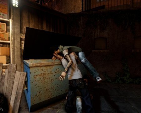 Sleeping Dogs - Limited Edition (2012)